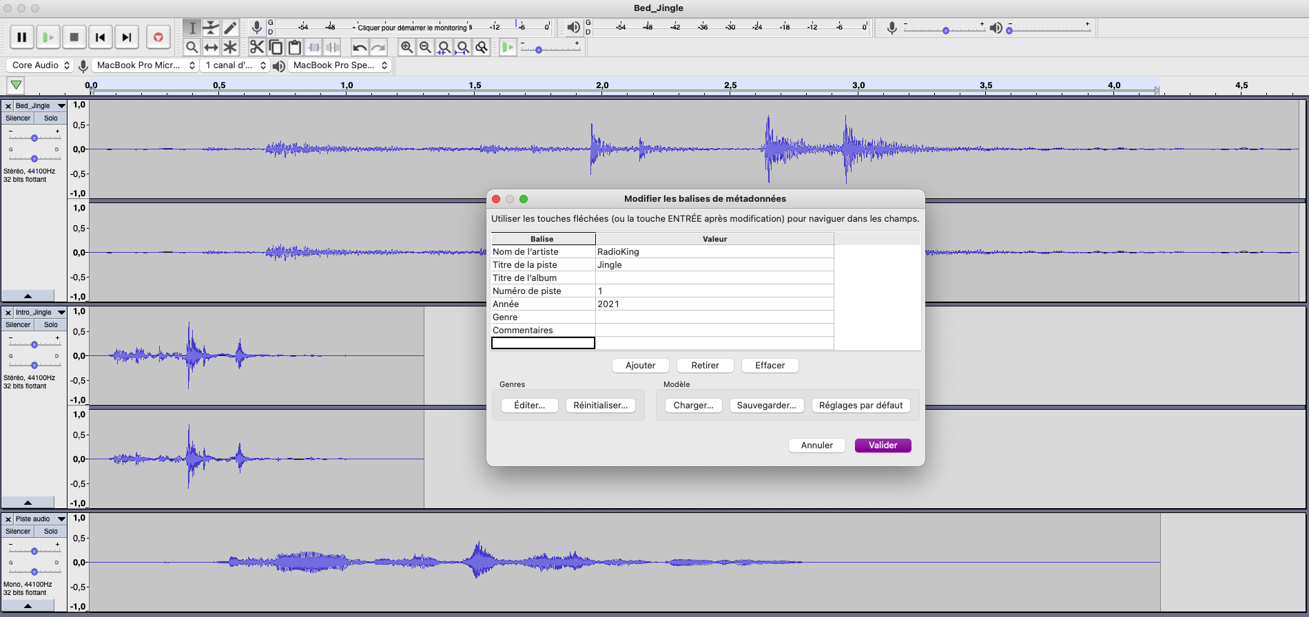 métadonnée audacity